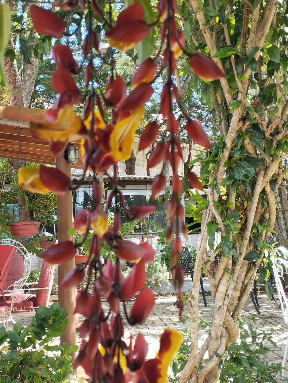 Pousada Calu كونها المظهر الخارجي الصورة